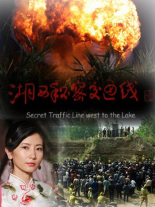 91无毒不卡